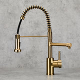 Verossi | Flex | Multiuse Style 3 in 1 Instant Boiling Tap with Flexi Spray  | Brushed Brass Finish