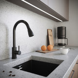 Verossi | Kitchen Sink Mixer with Pull out Spray | Matt Black