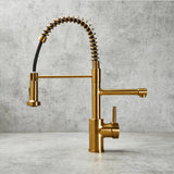 Verossi  | Flex | Multiuse Style 3 in 1 Instant Boiling Tap with Flexi Spray  | Brushed Gold Finish